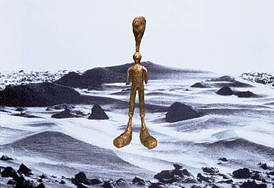 Ik wil een eikel zijn (a-sociale sculptuur)